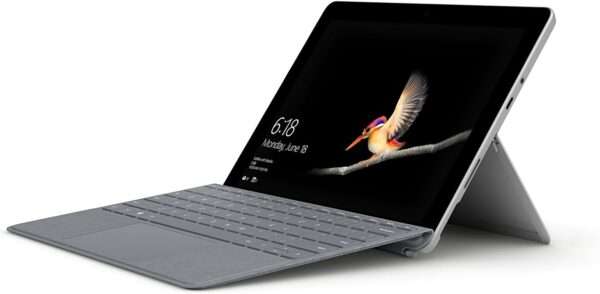 Go2 or Go3 Type Cover - Grey